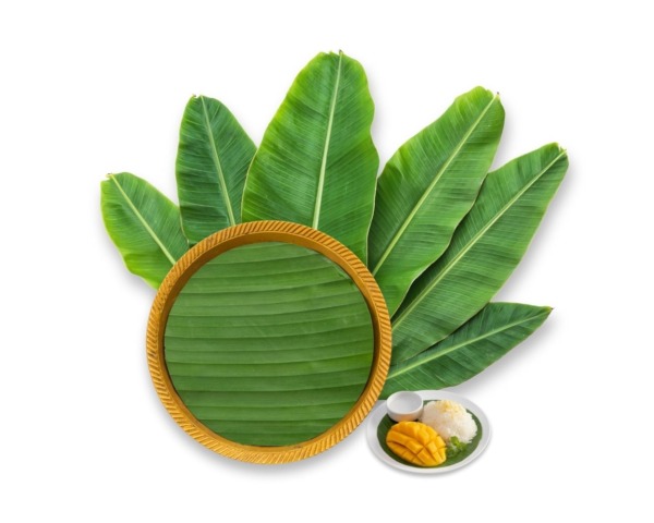 FROZEN BANANA LEAVES (CUT ROUND)