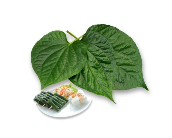 FROZEN WILD BETEL LEAVES