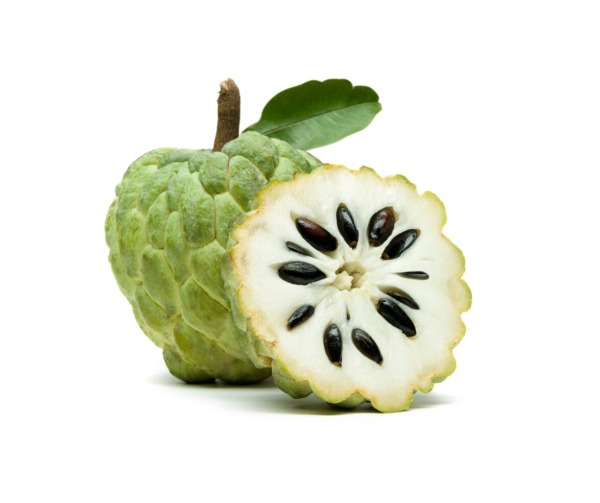 MÃNG CẦU DAI