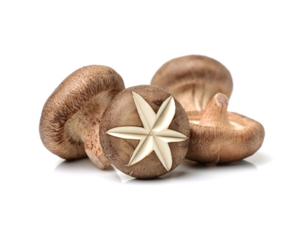 FROZEN SHIITAKE MUSHROOM