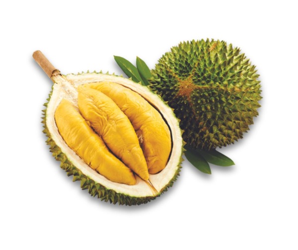 SẦU RIÊNG MUSANG KING