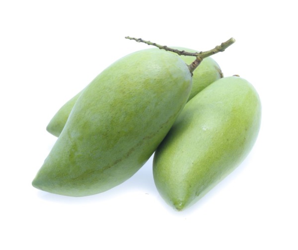XOÀI TƯỢNG