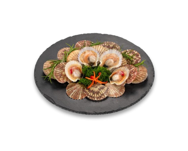 SÒ ĐIỆP
